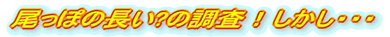 ۂ̒?̒IEEE